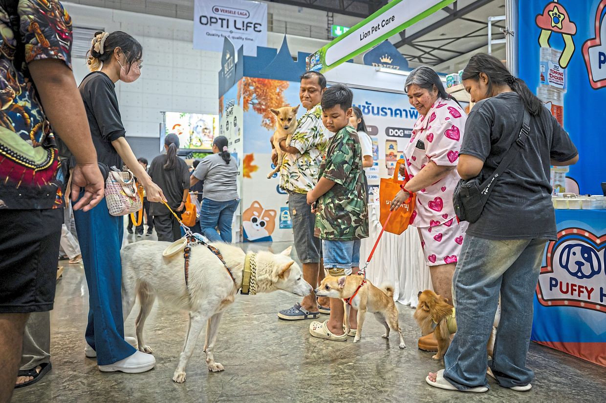 Dogs greet each other during the four-day Thailand International Pet Variety Exhibition in Bangkok. Thailand has the biggest pet market in South-East Asia.