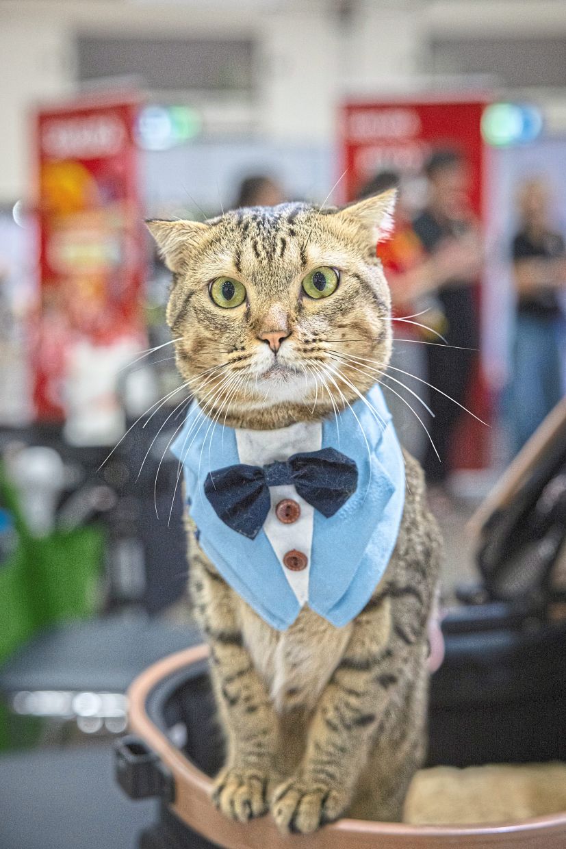 Kimmon after winning the speed eating race.