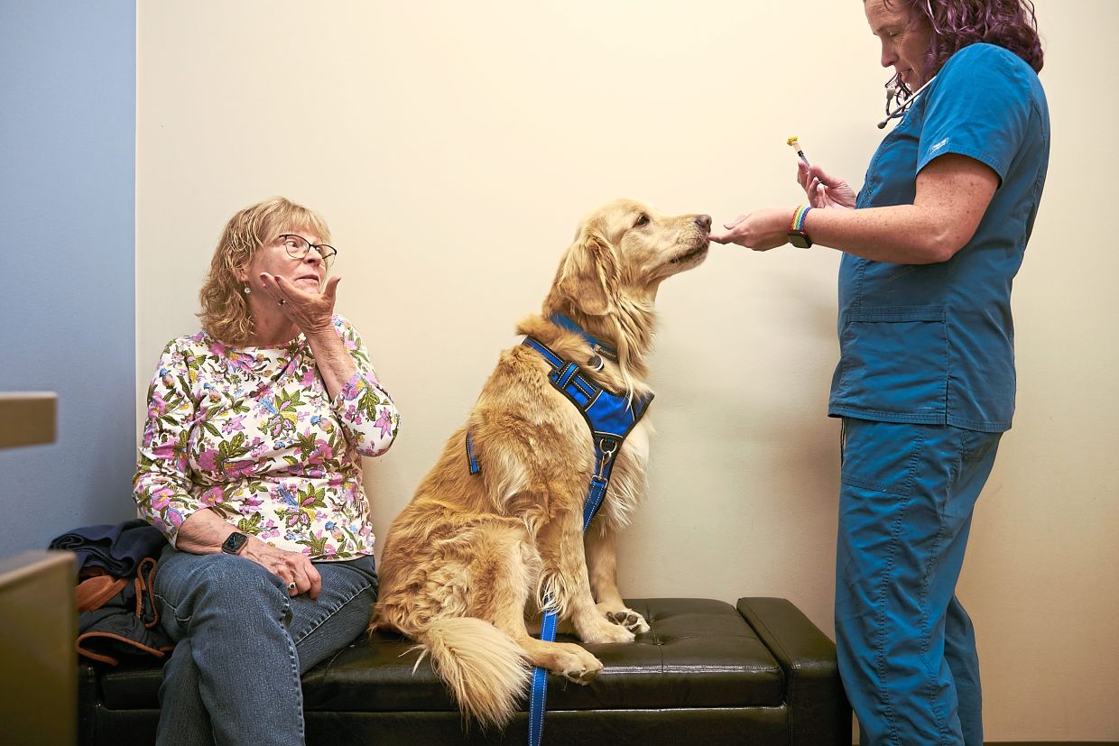 McGuire prepares to give Finley, a nine-year-old retriever, a bordetella vaccine.