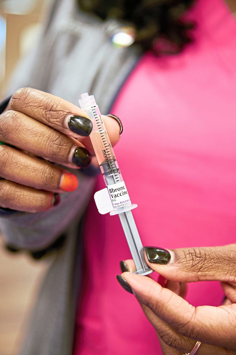 A bordetella vaccine is prepared to be administered.
