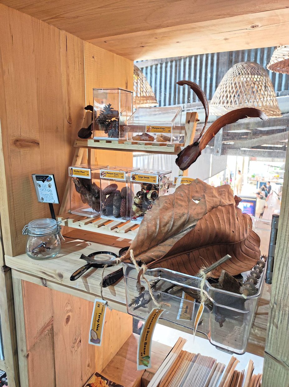 A part of the Habitat Foundation’s Penang Hill Biosphere Reserve Nook in Ruang Kongsi. Photo: Andrea Filmer 