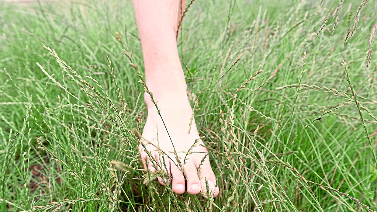 You should be careful where you step when walking barefoot outdoors.