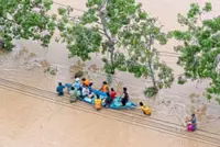 Floods ravage lobster farms just weeks before harvest