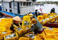 Vietnam PM urges support measures for businesses affected by US reciprocal tariffs