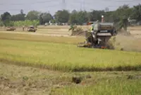 Indonesian govt reaffirms rice import ban after illegal shipment found in Aceh