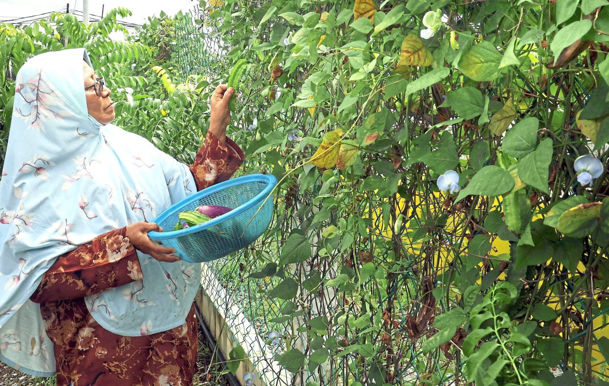 Sorry! Image not available at this time