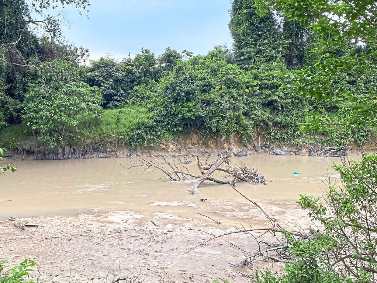 Sorry! Image not available at this time