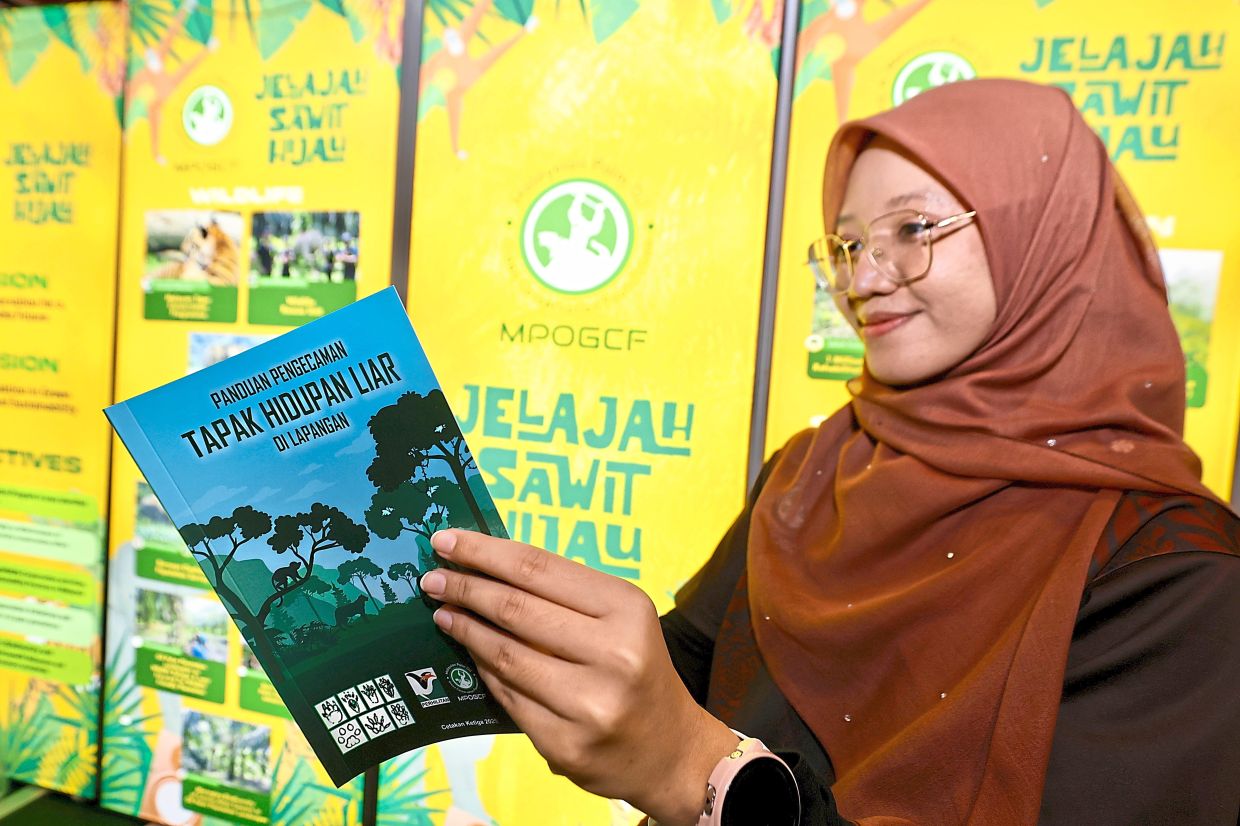 Fatin looking through the new field guide.