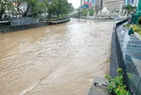 Landslides, floods and fallen trees