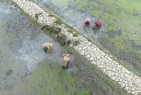 Land and life at the water’s mercy