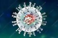 South Korea raises African Swine Fever alert after outbreak at pig farm