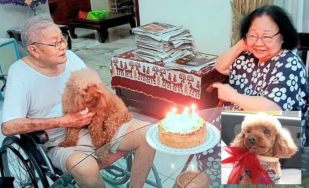 Family time: Mum and dad with Mambo.