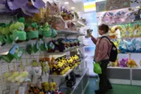 Pets, anime and toys are part of China's latest effort to boost consumption