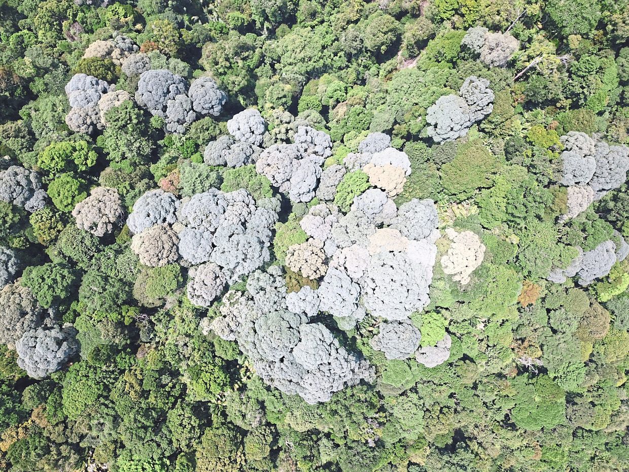 Sorry! Image not available at this time