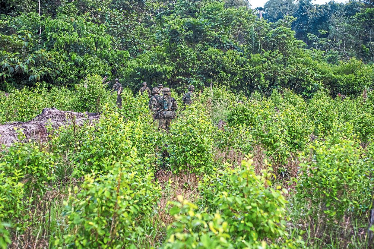 Sorry! Image not available at this time