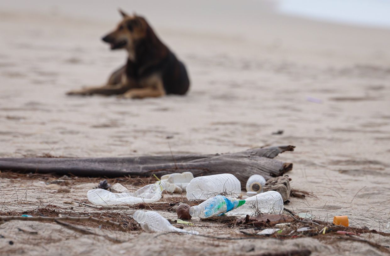 Most of the rubbish on the beaches by the cape come from the sea, according to locals.
