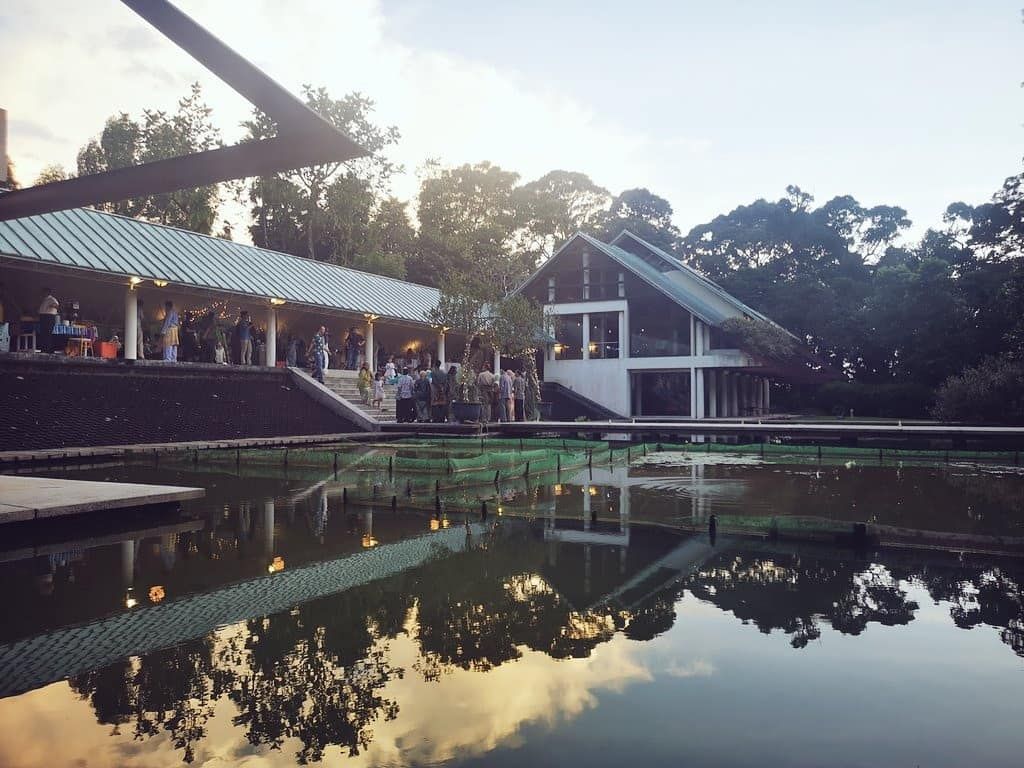 Weekend for the arts: Rimbun Dahan Open Day, colonial Malaya postcards