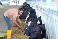 Beefing up nation’s fresh milk yield with modern hub