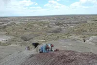 Last roar of the dinosaurs