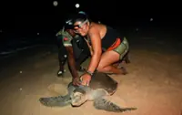 From hunters to guardians: Angolan villagers help to save endangered sea turtles