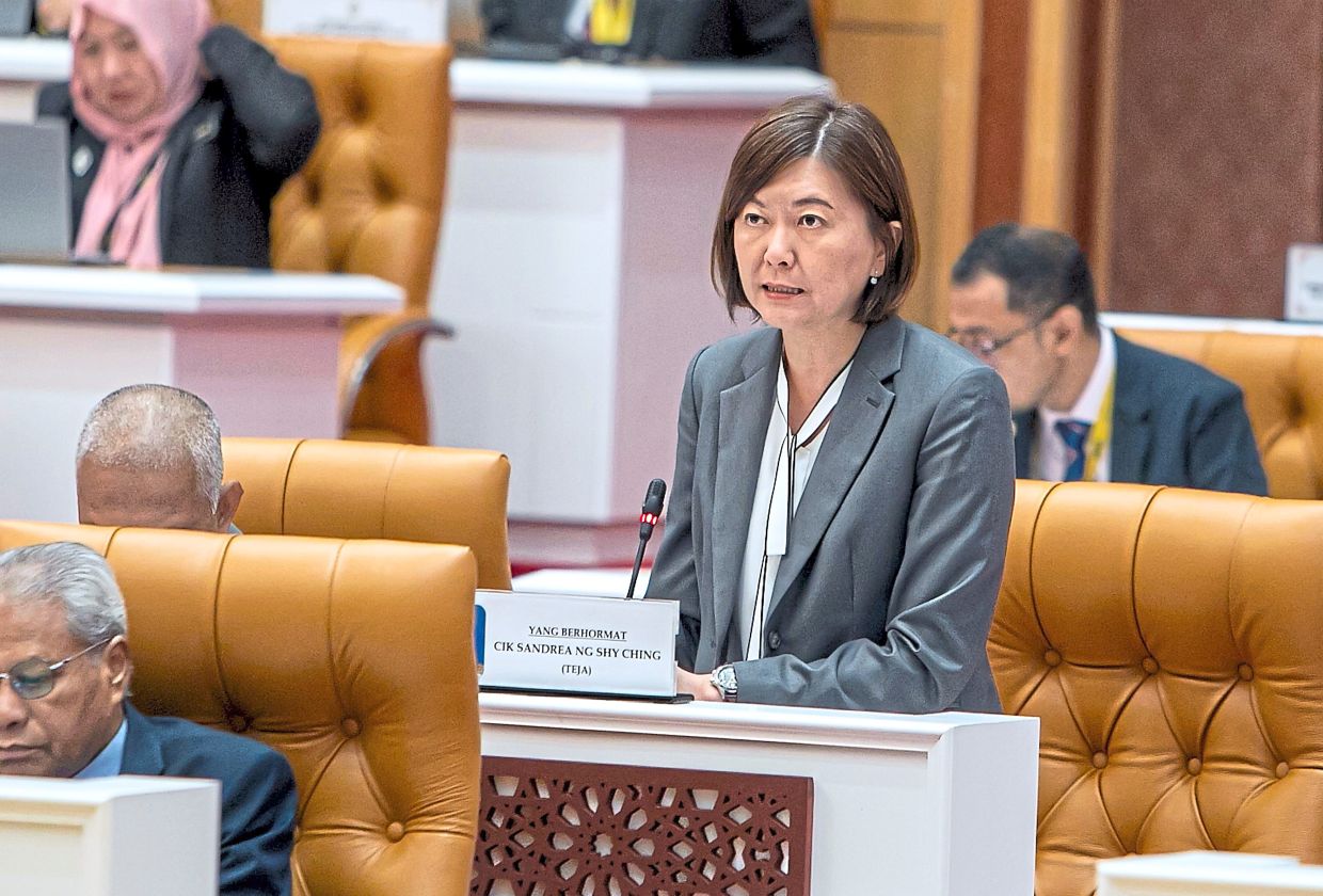 Paw-sitive outcome for stray animal management