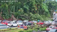 Storm Senyar: Fallen tree obstructs traffic on Jalan Damansara