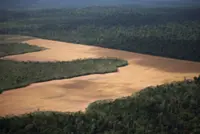 New tech could help COP30's Amazon rainforest protection goals