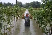 Farmer loses RM10,000 as floods destroy vegetable farm