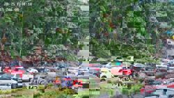 Storm Senyar: Fallen tree obstructs traffic on Jalan Damansara