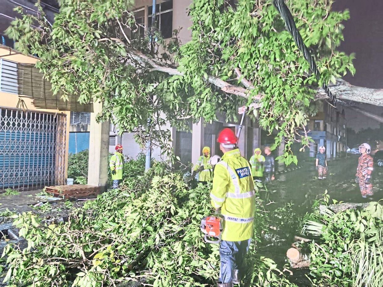 (Left) MPKL’s PANTAS Squad was deployed to multiple streets in Kuala Langat to clear fallen trees. (Right)Traffic in Taman Samudra, Batu Caves, was obstructed by fallen trees and a utility pole. — Courtesy photos