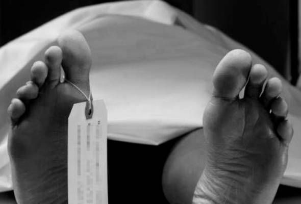 Fire dept helps police remove obese woman's body