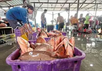 Monsoon a blessing for some