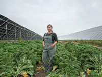 Alaska’s bright idea for food and energy