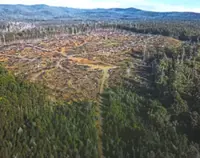 Australia overhauls decades-old environmental laws