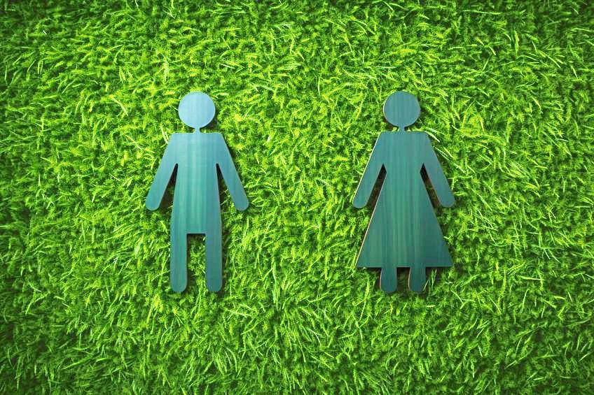 Sorry! Image not available at this time