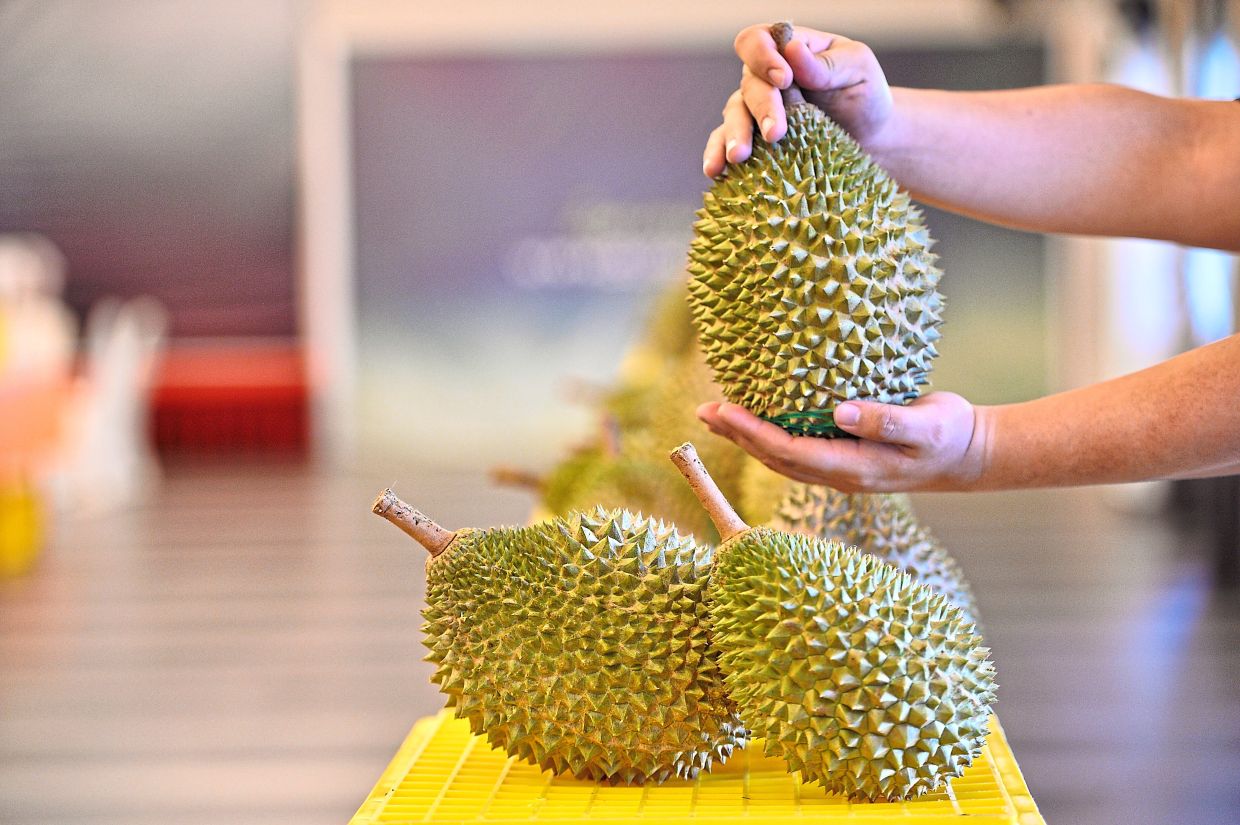 Sorry! Image not available at this time