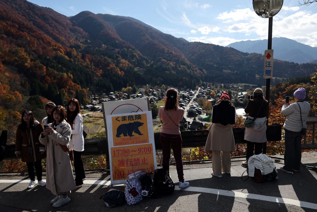 Japan insurer offers product to cover lost profits due to bear intrusions