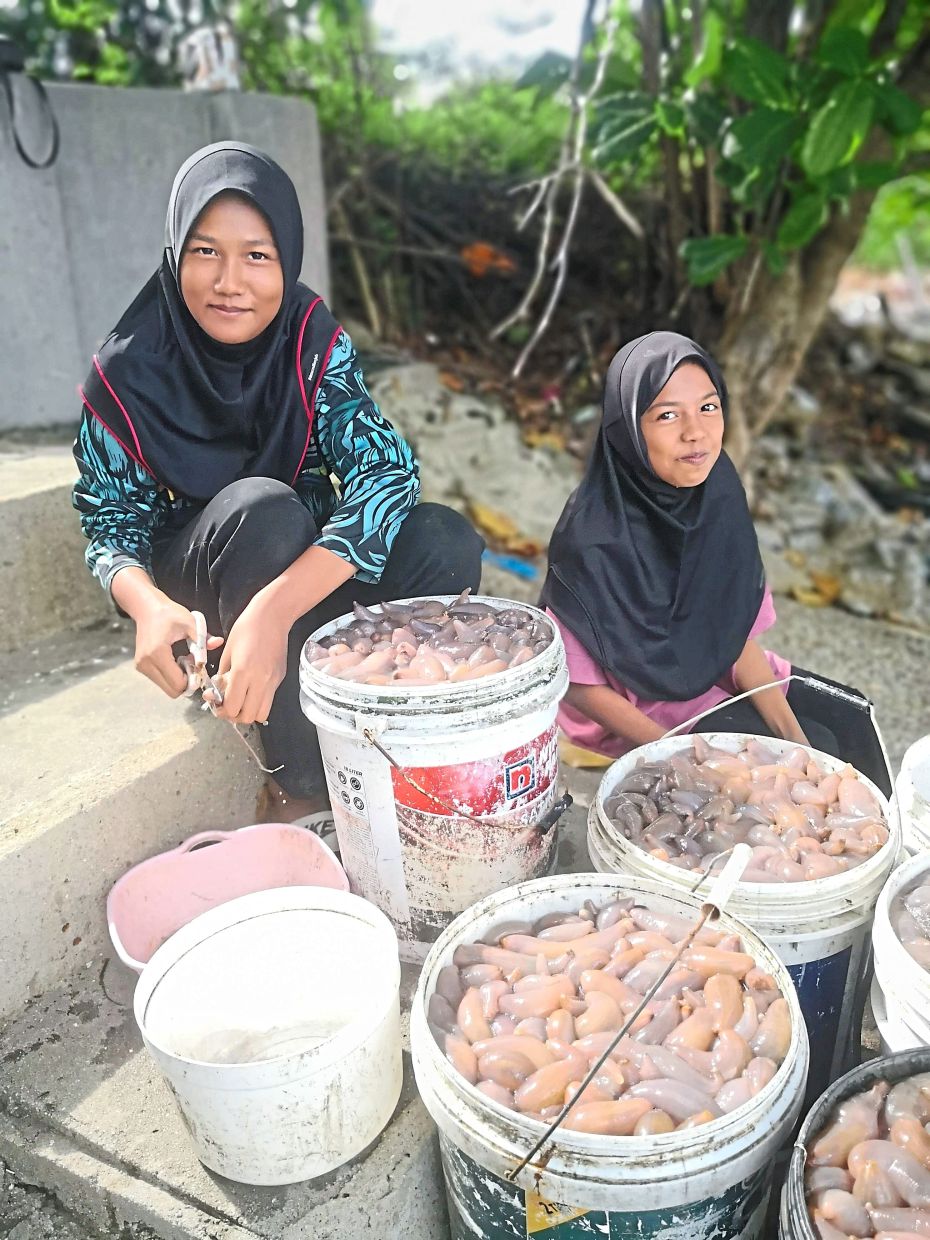 Nur Tasnim (left) and Nur Tasya help their mother clean and sell beronok during the weekends.