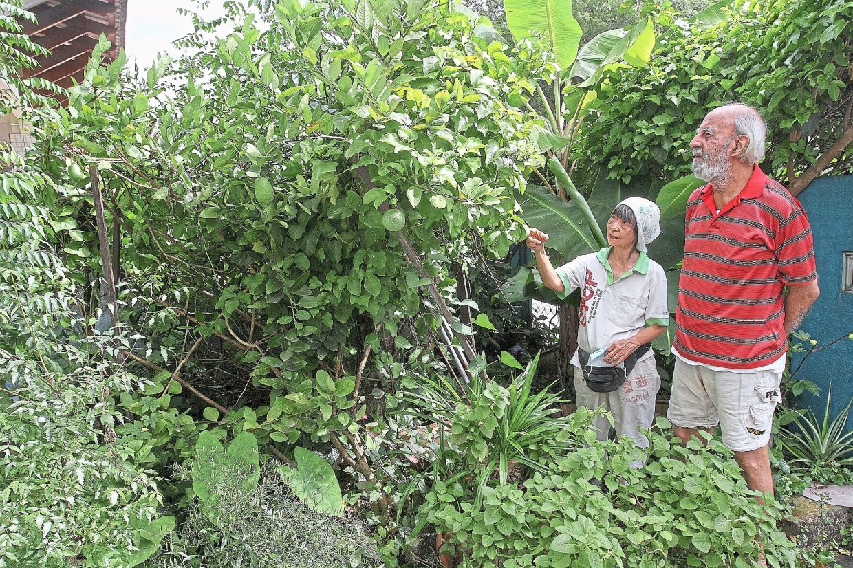 Cetdem project coordinator Tan Siew Luang (left) and her husband Gurmit are passionate about spreading their knowledge of organic farming. — Courtesy photos