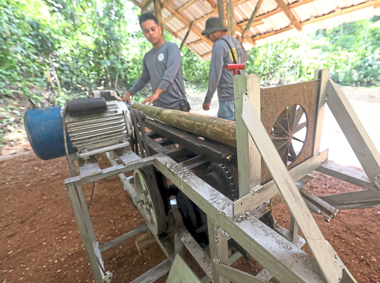 Villagers operate a machine to process the bamboo gathered at Kampung Orang Alsi Pos Raya in Perak.