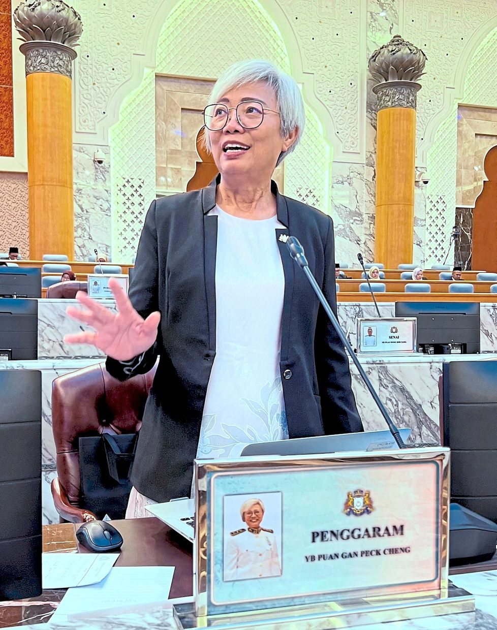 Gan says many children genuinely want to care for their elderly parents but lack the necessary support and skills.