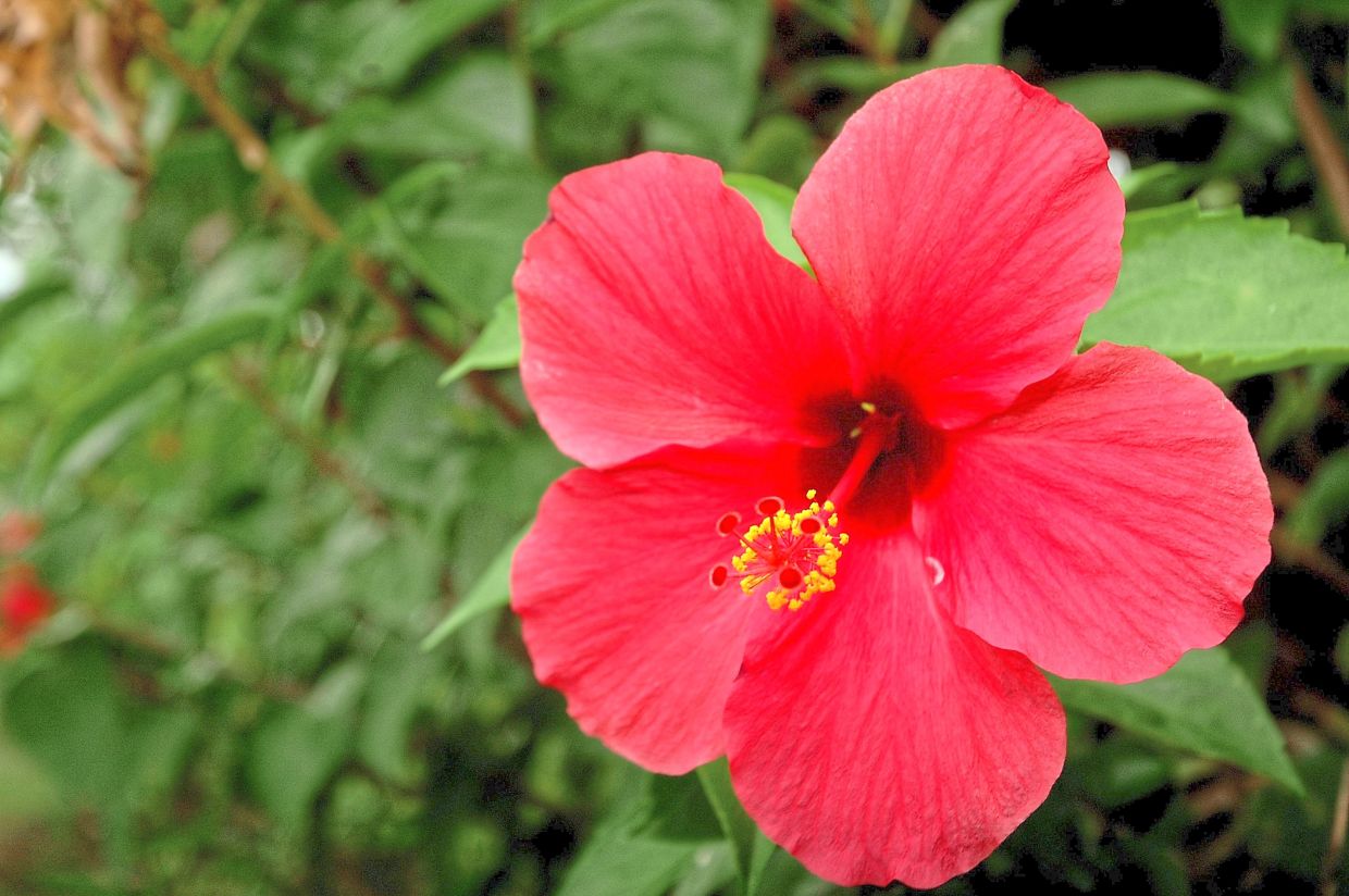 Sorry! Image not available at this time