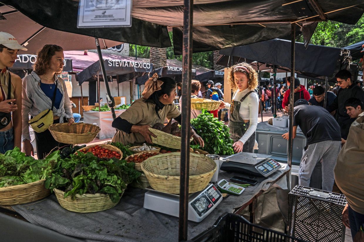 McGrath shopping at Mercado el 100, a weekly farmers market in Mexico City’s Roma neighbourhood. 