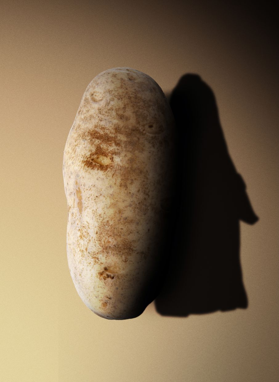 Like potatoes, the best shoes are brown and ovoid. Photo: The New York Times