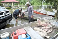 Flood season doubles fishermen’s earnings