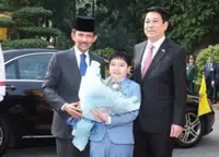 Brunei Sultan makes official visit to Vietnam