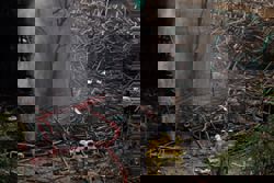 Hong Kong arrests 13 for apartment tower fire as death toll rises to 151; 40 people still missing