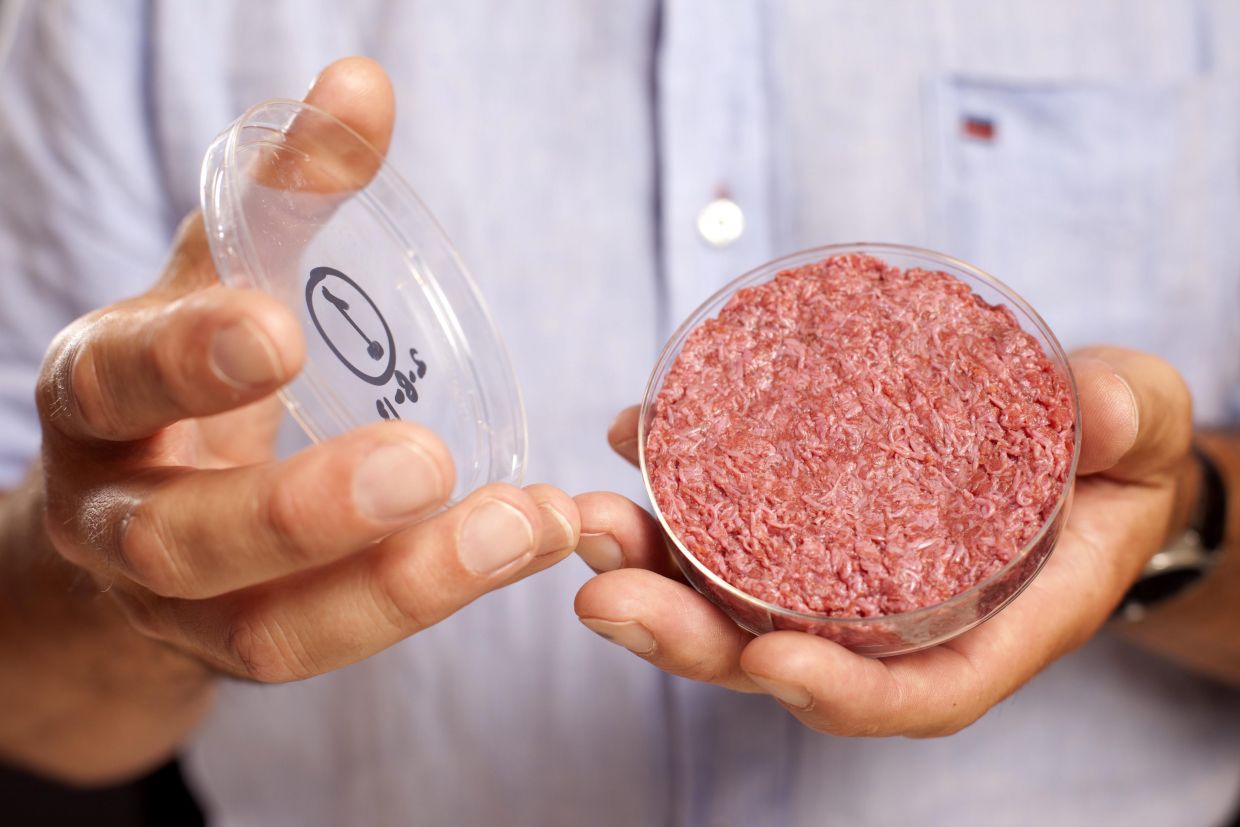 Professor Mark Post from Maastricht University shows artificial meat from the lab in a petri dish at a product presentation in London in 2013. A restaurant critic tested the burger from the lab. Photo: David Parry/Pa Wire Handout/PRESS ASSOCIATION IMAGES/dpa