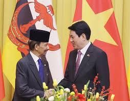 Brunei Sultan underscores strong Brunei–Vietnam ties