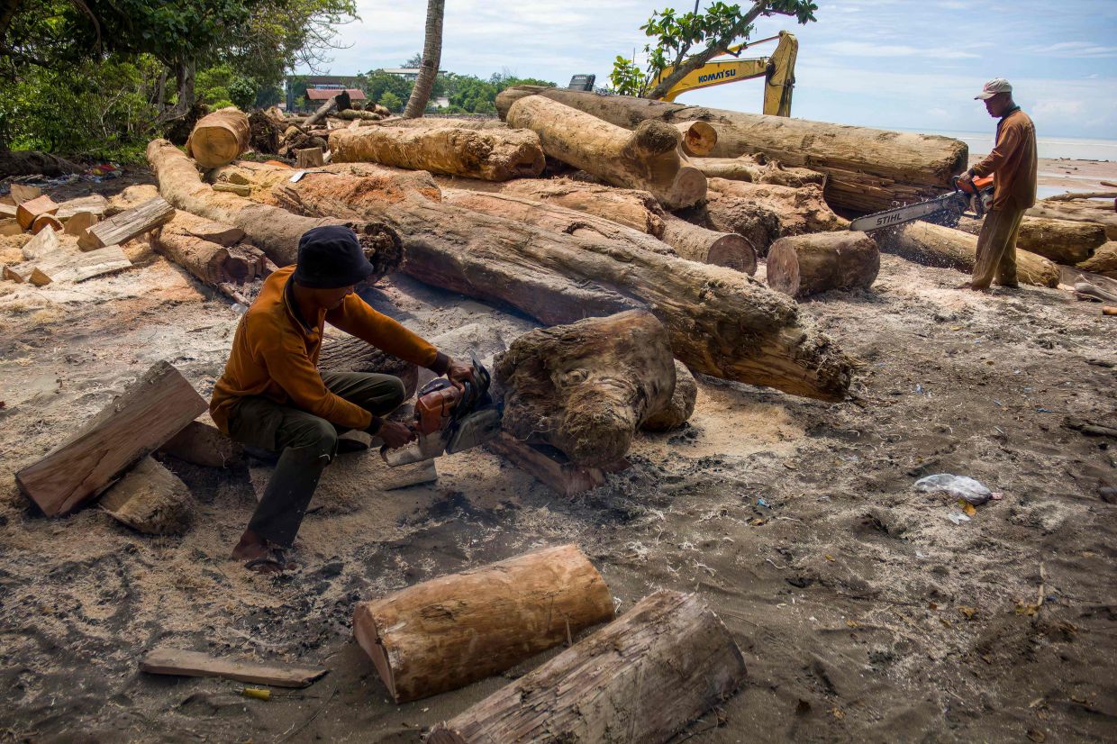 How deforestation turbocharged Indonesia's deadly floods